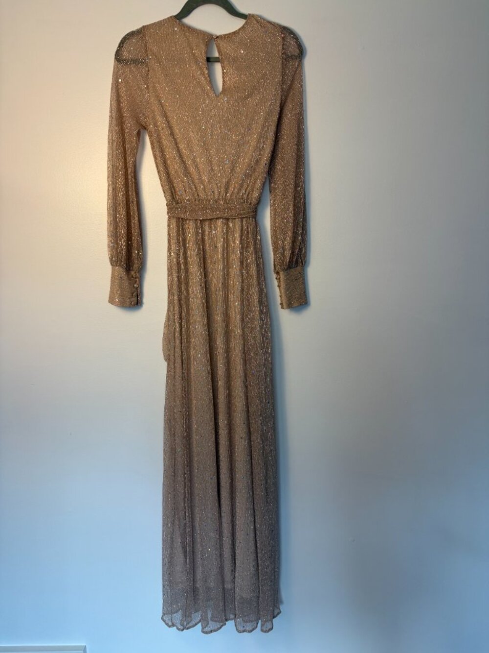 Baltic Born Abigail Sparkle Gown In Champagne Longsleeve Wrap Maxi Dress (NWT) - Picture 9 of 10